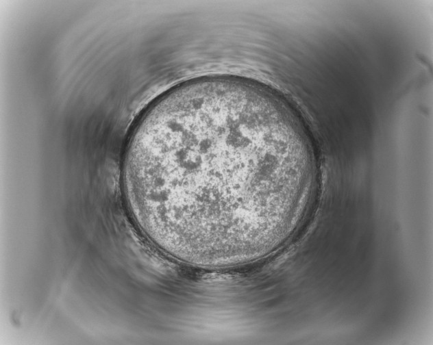 X0000102281505200808151915