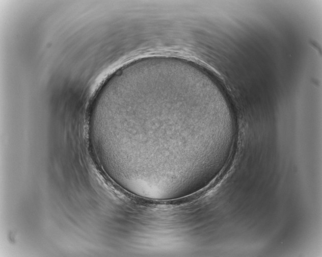 X0000102281506200808151915