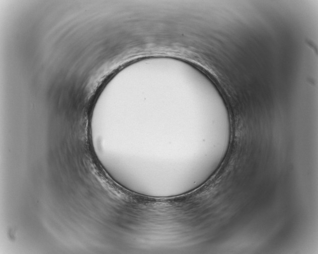 X0000102281507200808151915