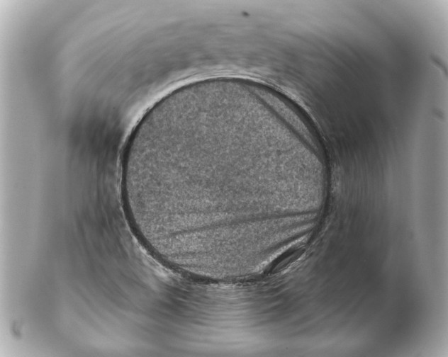 X0000102281508200808151915