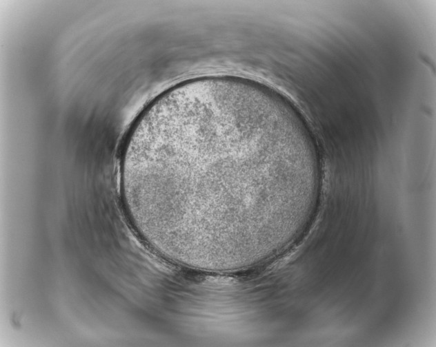 X0000102281509200808151915