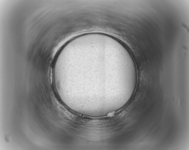 X0000102281510200808151915