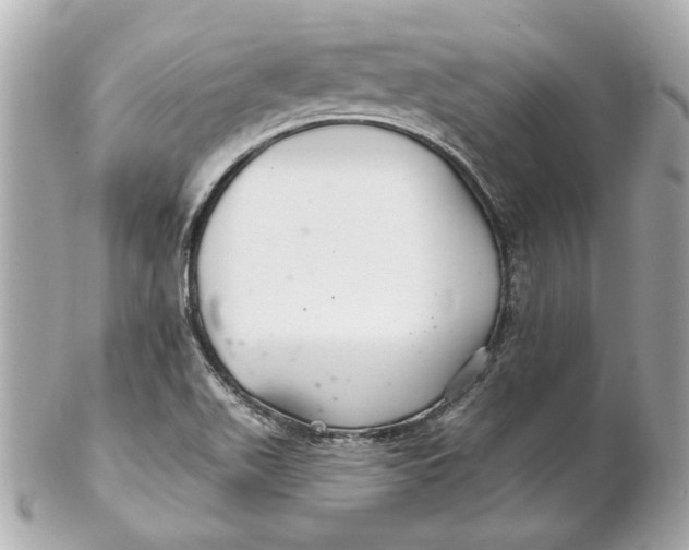 X0000102281511200808151915