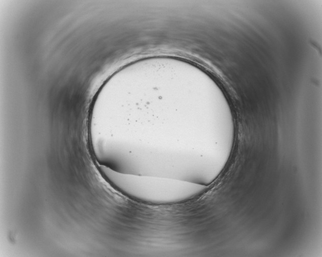 X0000102281512200808151915