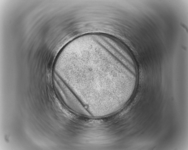 X0000102281513200808151915