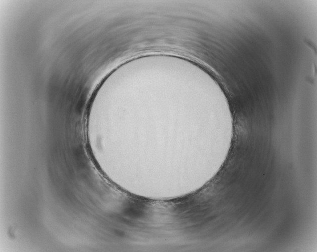 X0000102281514200808151915