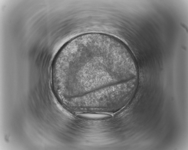 X0000102281515200808151915