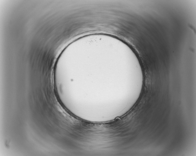 X0000102281516200808151915