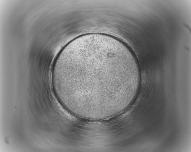 X0000102281517200808151915