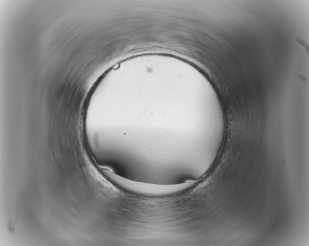 X0000102281518200808151915