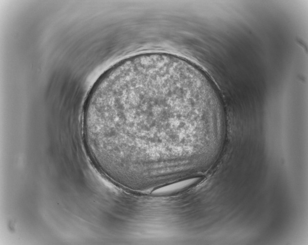 X0000102281519200808151915