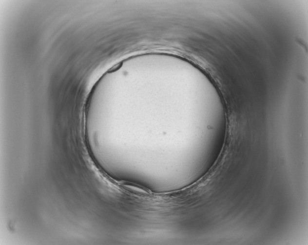 X0000102281520200808151915