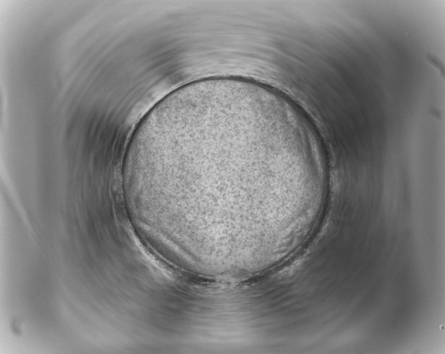 X0000102281521200808151915