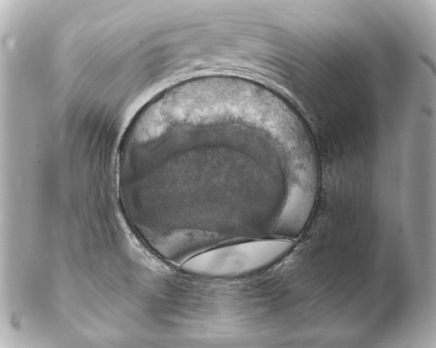 X0000102281522200808151916