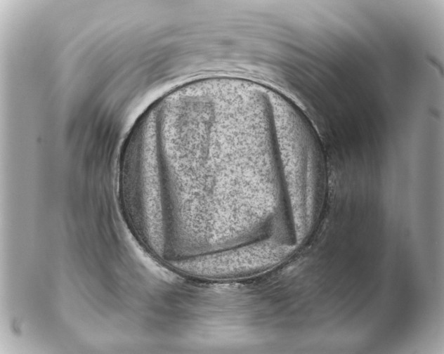 X0000102281523200808151916