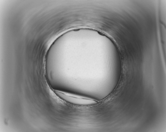 X0000102281524200808151916