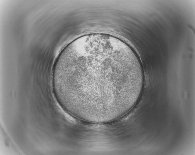 X0000102281525200808151916