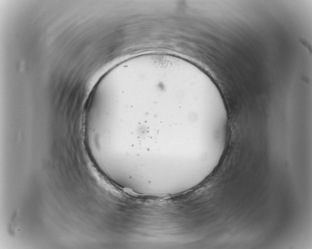 X0000102281526200808151916