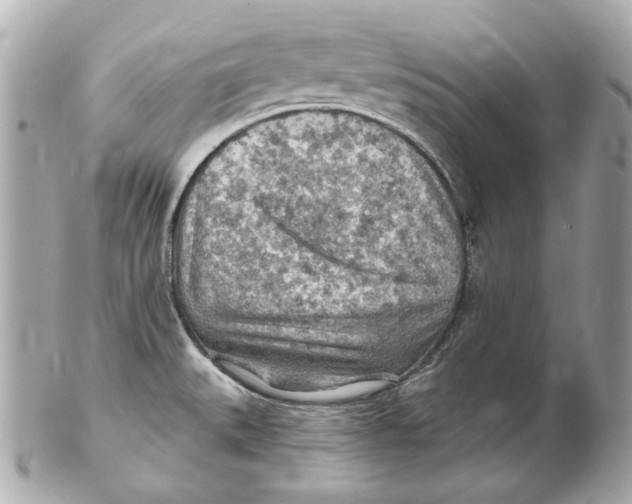 X0000102281527200808151916