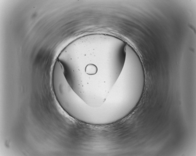 X0000102281528200808151916