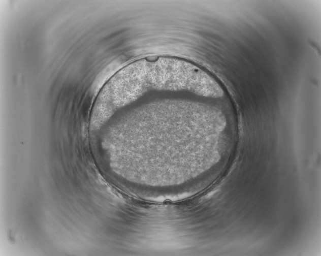 X0000102281529200808151916