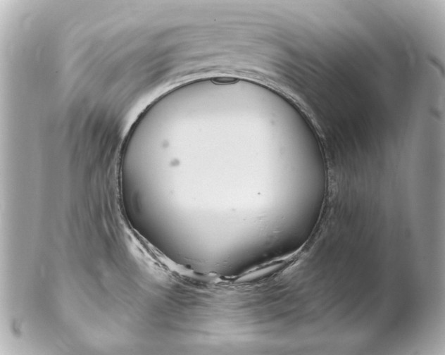 X0000102281530200808151916