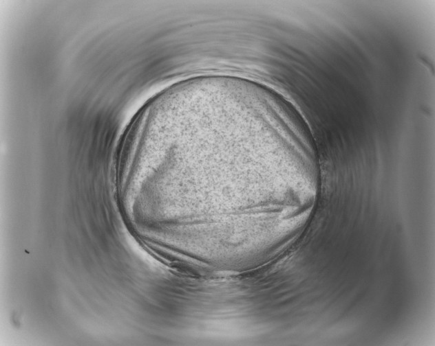 X0000102281531200808151916