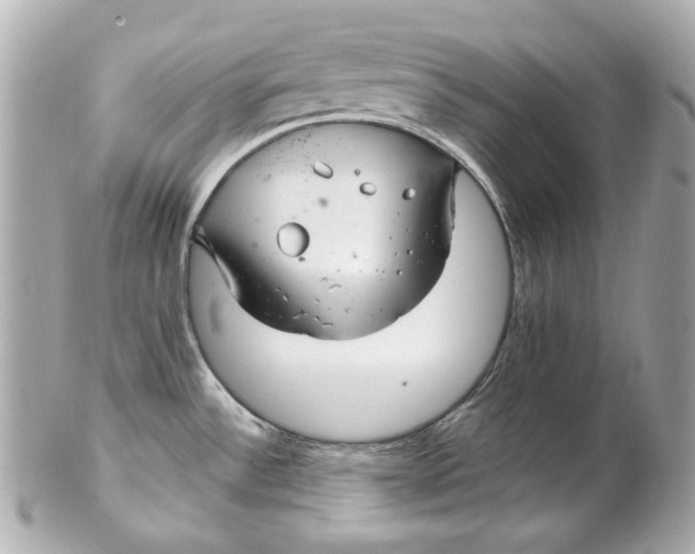 X0000102281532200808151916