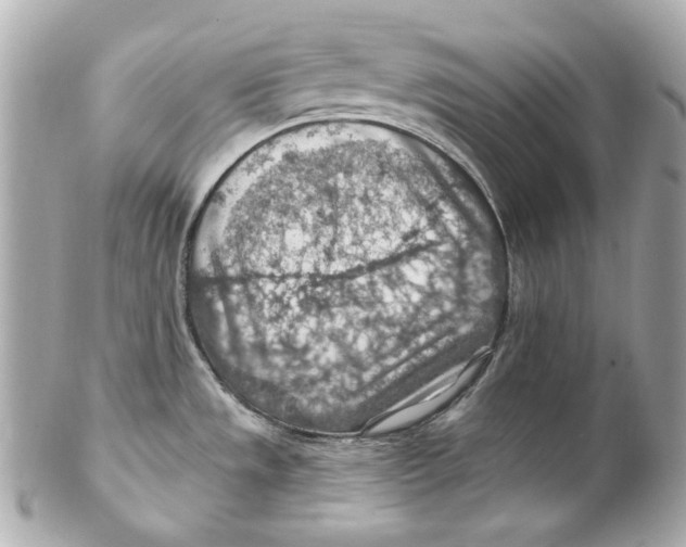 X0000102281533200808151916