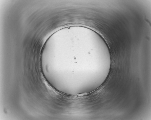 X0000102281534200808151916