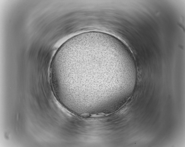 X0000102281535200808151916