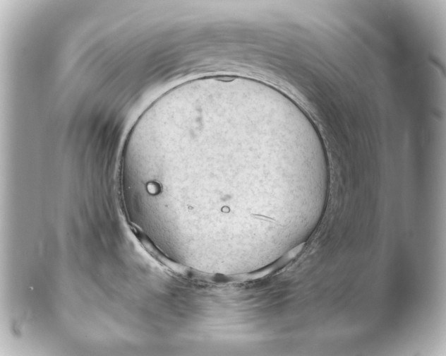 X0000102281536200808151916