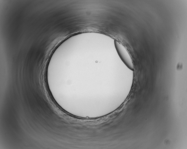 X0000102280001200808221315