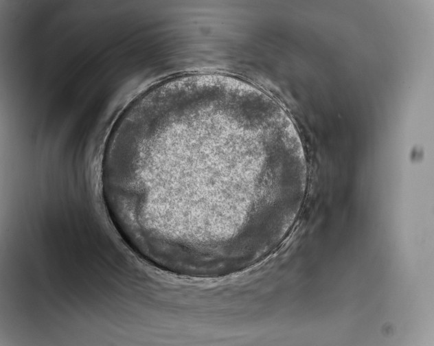 X0000102280002200808221315