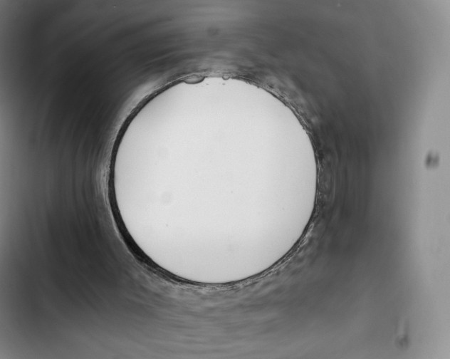 X0000102280003200808221315
