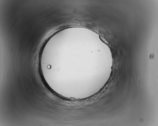 X0000102280005200808221315