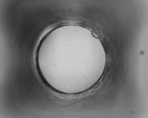 X0000102280006200808221315