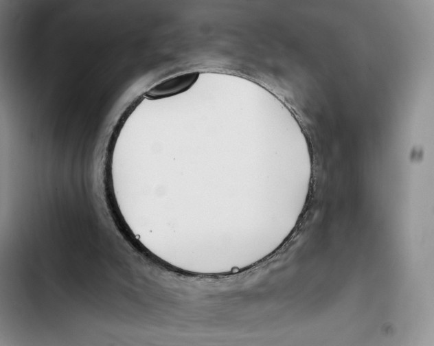 X0000102280007200808221315