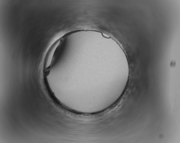 X0000102280008200808221315