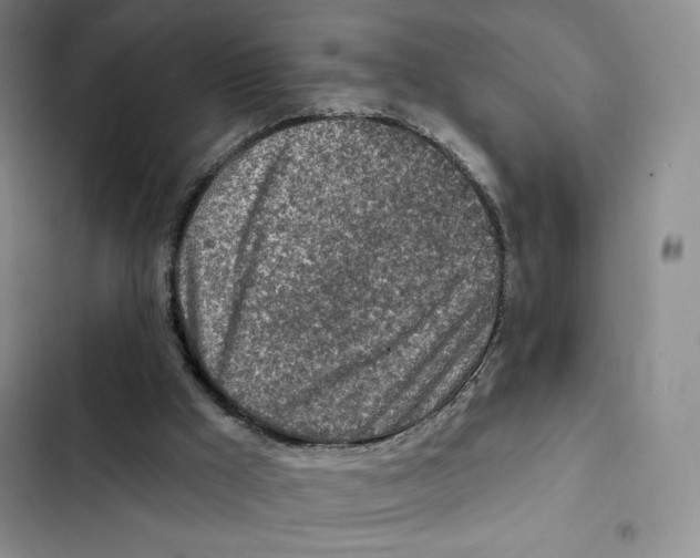 X0000102280009200808221315