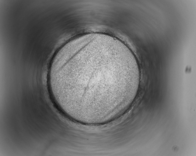 X0000102280010200808221315