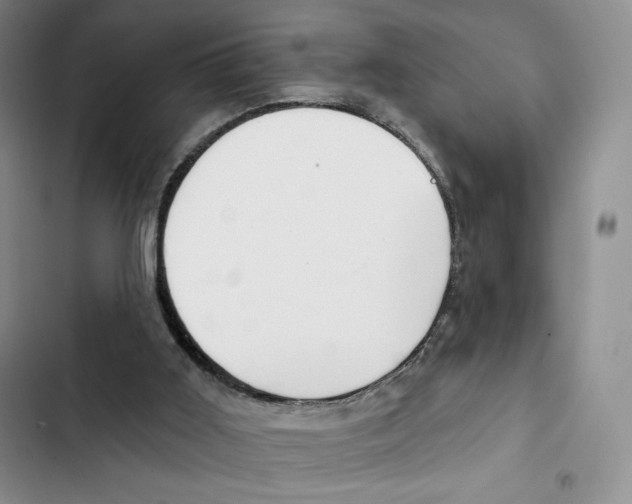 X0000102280011200808221315