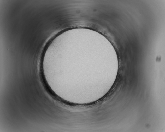 X0000102280012200808221315