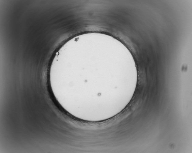 X0000102280015200808221315