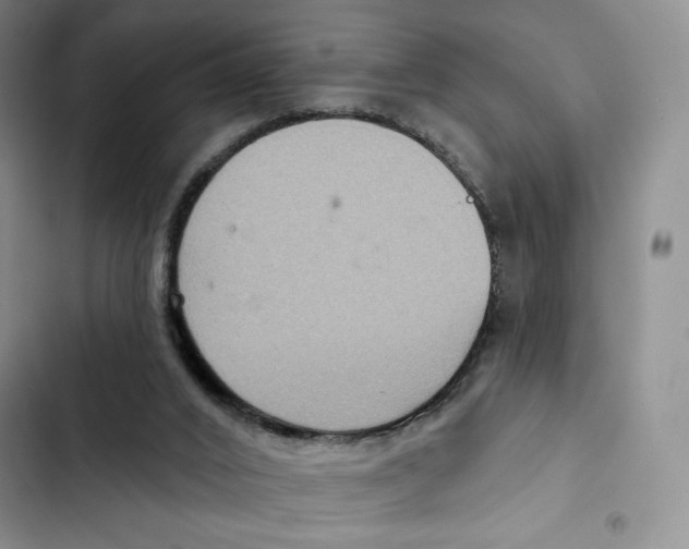 X0000102280016200808221315