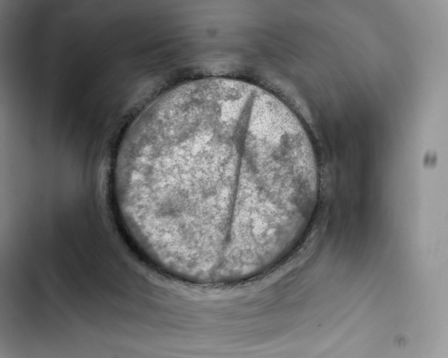 X0000102280018200808221315
