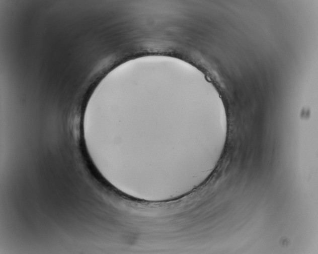 X0000102280019200808221315