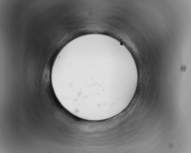 X0000102280021200808221315