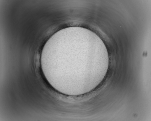 X0000102280022200808221315