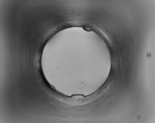 X0000102280023200808221315